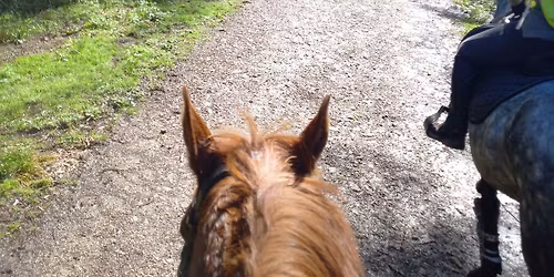 Royal Cornwall Wadebridge Endurance Ride 