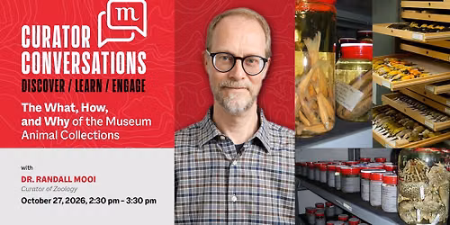 Curator Conversations \u2013 The What, How, and Why of the Museum Animal Collections