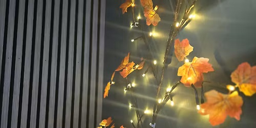 Sacred Cacao & Sound Bath