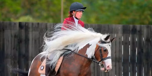 Unaffiliated Dressage inc BD and BRC tests. Restricted classes for novice combinations