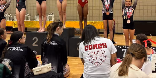 Gymnastics Team Tryouts \ud83e\udd38
