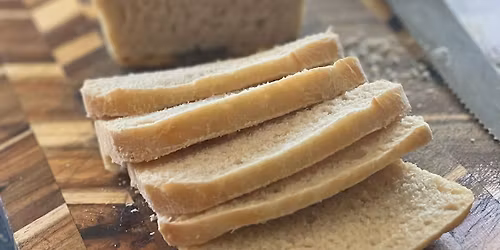 Microbiome Magic: A Sourdough Experience