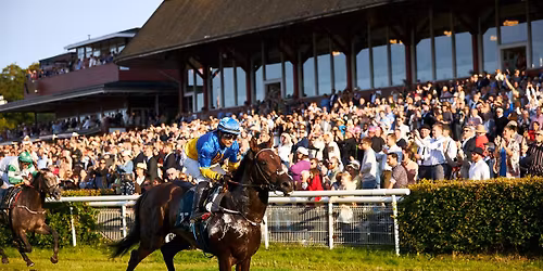 Derby 2025 - \u00c5rets h\u00f8jdepunkt p\u00e5 Galopbanen\ud83c\udfc7