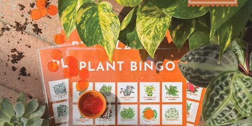 PLANT BINGO AT BRIGGS \ud83c\udf3f\ud83c\udf31\ud83c\udf35