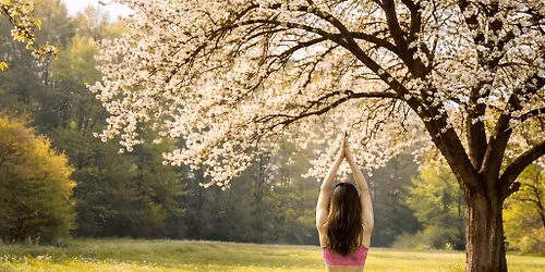 Flow J\u00f3ga a Margit-szigeten \ud83e\udeb7