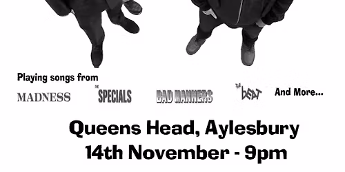 \ud83c\udfb6 The Skadinals \u2013 Friday 14th Nov.