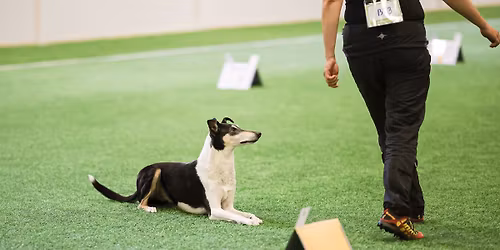 Rallytoko-epikset 15.1.2026