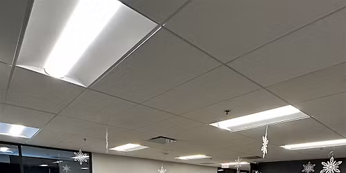 Thriving Holiday Market