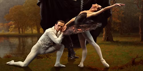 EL LAGO DE LOS CISNES