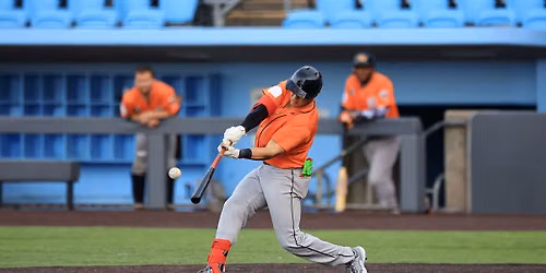 Staten Island Ferryhawks at Long Island Ducks