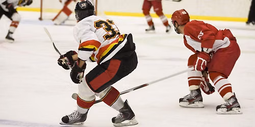 Detroit Red Wings at Vancouver Canucks