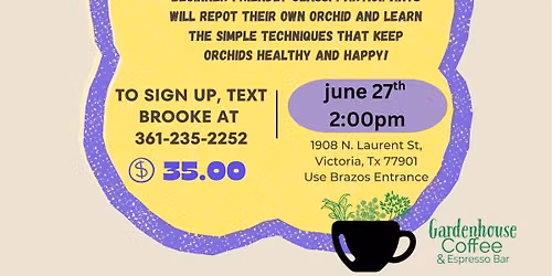 Orchid 101: Keep It Alive!