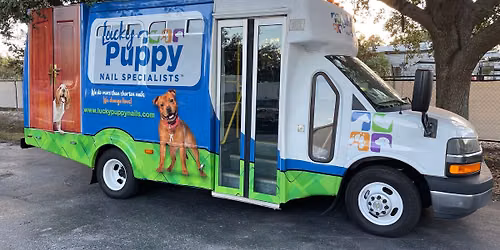 Canine Nail Shortening Service in St Petersburg