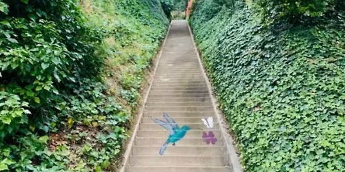 Silver Lake South Urban Stair Hike, Level: Moderate++