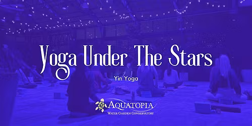 Yoga Under the Stars - Yin Yoga