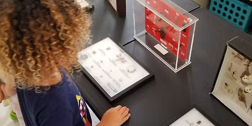 Free Children's Program at the L.W. Paul Living History Farm