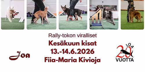 Viralliset rally-tokokilpailut