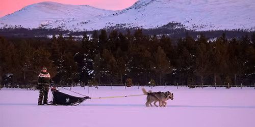 \u2744\ufe0f Malamutetest 2 & 4, Dagali Seterdalen