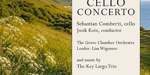 Tony Biggin: CELLO CONCERTO 