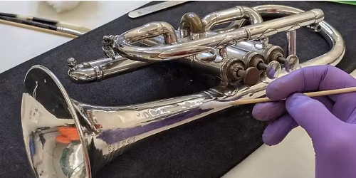 \ud83d\udd2c \ud83d\udd0e Conservation in Action