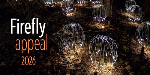 Firefly Celebration Evening - Tuesday 13 October 2026