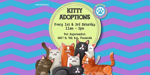 AAFL KITTY ADOPTIONS