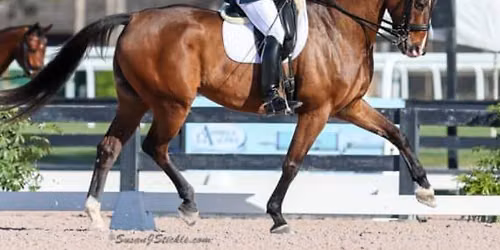 Luis Reteguiz-Denizard Clinic