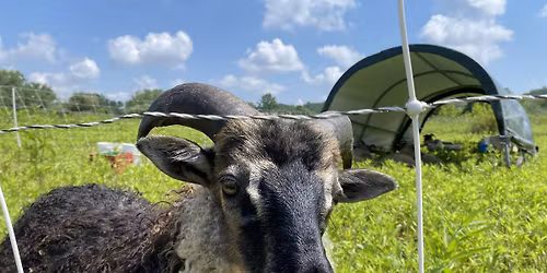 All Forward CONNECTIONS: Farm & Local Food Tasting @ Oxbow Farm & Market