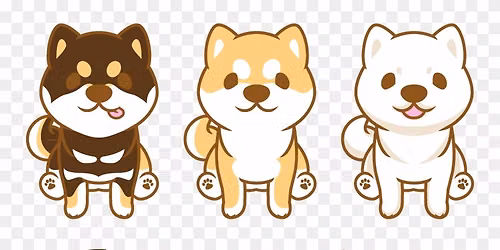 June 2026 Boston Shiba Meetup