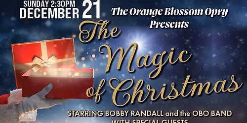 The Magic of Christmas