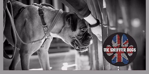UK Sniffer Dogs Scent Detection Silver Instructor - Manchester