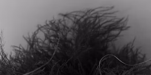 WILD WREATH WORKSHOP