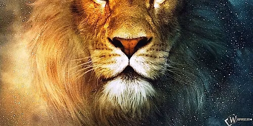 The GateKeeper: A Men's Group