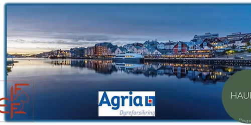 Hauraks utstilling 2026