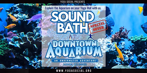 Sound Bath at the Downtown Aquarium in Denver with Yoga Social