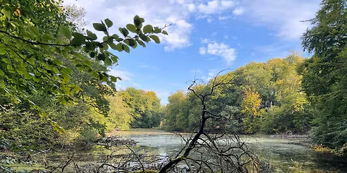 HVORDAN F\u00c5R VI MERE SAMMENH\u00c6NGENDE NATUR - MERE BIODIVERSITET. \ud83d\udc9a