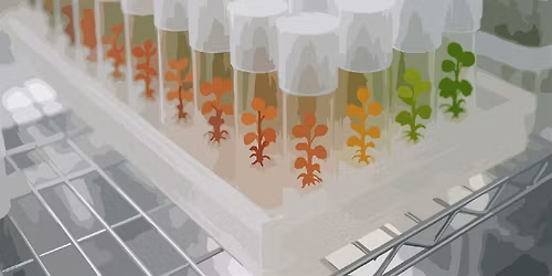 Wet-Lab Plant Genetic Engineering Workshop  (Take-home Kit included!)