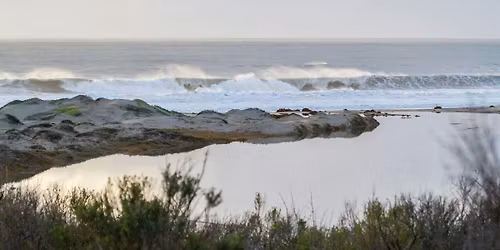 Tour of Coal Oil Point Reserve