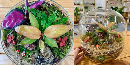 Christmas Terrarium Building Workshop