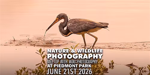 Piedmont Park Nature Photography Meetup