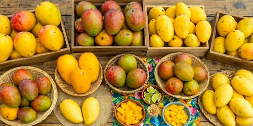 Island SPACE Mango Festival 2026