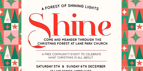 Shine - A forest of shining Christmas lights