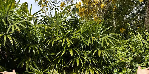 Conscious Breath Expansion