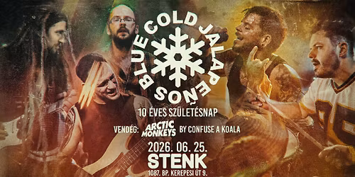 Red Hot Chili Peppers by Blue Cold Jalape\u00f1os - 10 \u00e9ves sz\u00fclet\u00e9snapi nagykoncert \ud83d\udca5 STENK