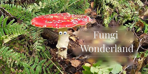 Halloween Mushroom foraging for All - Near city center!