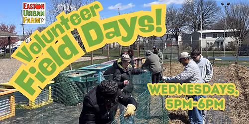 Volunteer Field Day - June 24