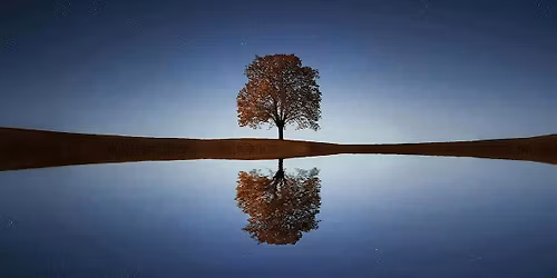 Thursday Evening Relaxation