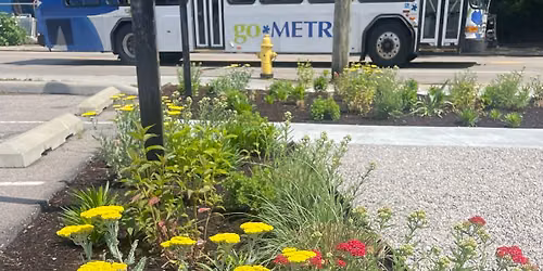 Spring Grove Pocket Park Pocket-Sized Celebration!