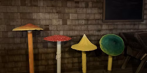A Mushroom Experience Dinner at Indian Ladder Farms with Ruchi