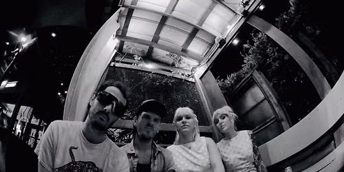 Flags \/ Brood X \/ The Magnavox\u2019s